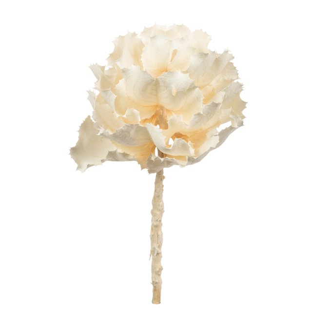Vickerman Fleur Blanchie 8 Pouces Queen Fleur 1 Tige Séchée