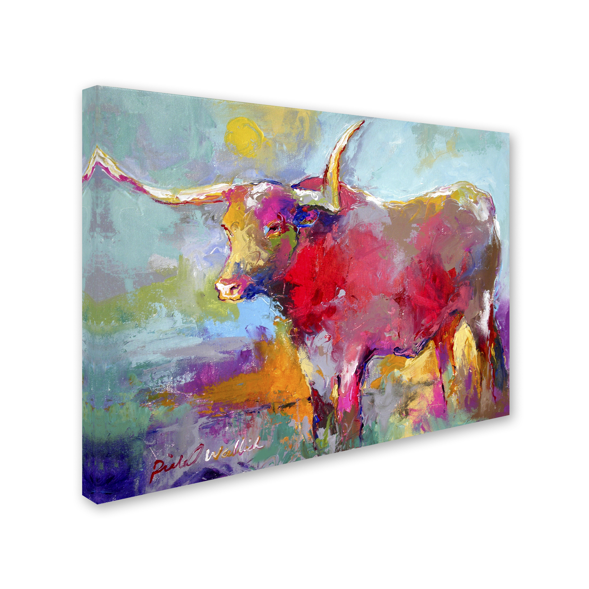 Trademark Fine Art 'Art Long' Canvas Art by Richard Wallich