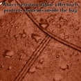 View all media