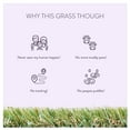 thumbnail image 2 of MegaGrass PBGV 30 x 48 in Artificial Grass for Medium Pet Dog Potty Indoor/Outoor Area Rug, 2 of 9