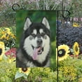 thumbnail image 2 of Alaskan Malamute Dog Decorative Double Sided House Flag 28 x 40 inch, 2 of 2
