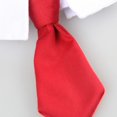thumbnail image 2 of Collier pour Animaux de Compagnie Mignon Mode Simple Coton Chat Cravate Cravate pour Chaton, 2 of 10