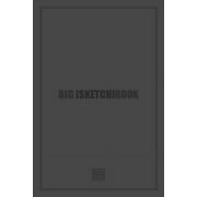 Big [Sketch]book: 480 Plain Pages (Paperback)