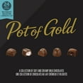 thumbnail image 3 of Pot of Gold Milk Chocolate Collection, 3 of 7
