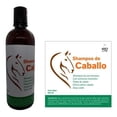 thumbnail image 1 of Shampoo Sin Sal Shampoo De Caballo Anticaída Sin Parabenos Bewetlove Shampoo de Caballo, 1 of 3