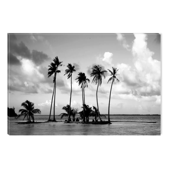 Startonight Canvas Wall Art Black and White Abstract Tropical Beach Palms, Dual View Surprise Artwork Modern Framed Ready to Hang Wall Art 100% Original Art Painting 23.62 X 35.43 inch