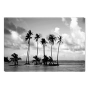 Startonight Canvas Wall Art Black and White Abstract Tropical Beach Palms, Dual View Surprise Artwork Modern Framed Ready to Hang Wall Art 100% Original Art Painting 23.62 X 35.43 inch