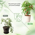 thumbnail image 5 of Bocaoying 30 Pcs Plant Support Stakes, Height Adjustable Garden Plant Stake with Clips, Connect Pipe and Plant Ties, Plant Stick for Indoor Outdoor Tomato Orchid Rose Peony Peppers, 5 of 8