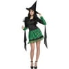 Wicked Witch Adult Halloween Costume