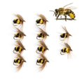 thumbnail image 1 of 10 Pcs/Set Fishing Artificial Insect Bait Bumble Bee Fly Trout Fishing Lures Bionic Honeybee Bait Fly Fishing Bait Handmade, 1 of 5