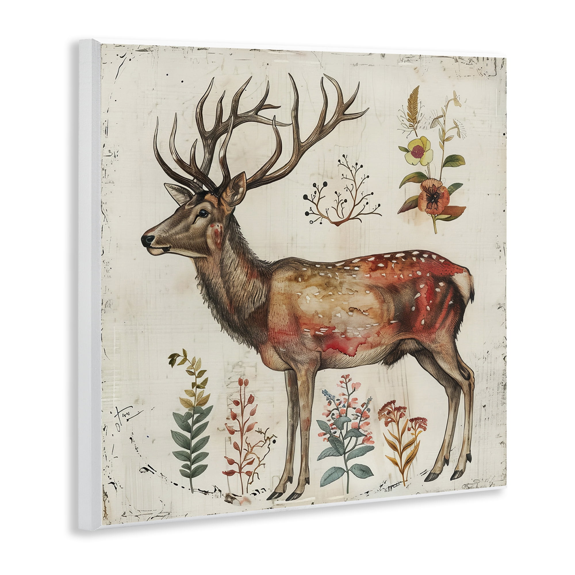 Stupell Industries Forest Elk with Botanicals Animals & Insects Painting Unframed Art Print Wall Art, 12 x 12
