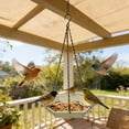 thumbnail image 5 of OCCOA Humming bird Feeders for Outdoors, Leak-Proof Saucer Humming Bird Feeder with Integrated Ant Moat, Easy Clean & Refill, Hanging Garden Yard Décor,Beige, 5 of 6