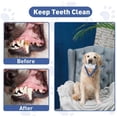 thumbnail image 3 of LILELIS Outward Hound Dog Toys Interactive Tug of War Dog Toy Dog Triangle Rope Toys for Teething Training & Stress Natural Rubber Puppy Chew Toy with Smooth Rounded Edges and Rope Promotes One Size, 3 of 8