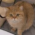thumbnail image 6 of Cats Tunnel Foldable Sunproof Enclosure Ventilated Shelter for Outdoor Activity, 6 of 13