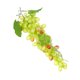 thumbnail image 5 of Uva artificial simulación fruta fotografía instantánea uva falsa boceto práctica utilería, verde sidaley HA8461-02B, 5 of 6