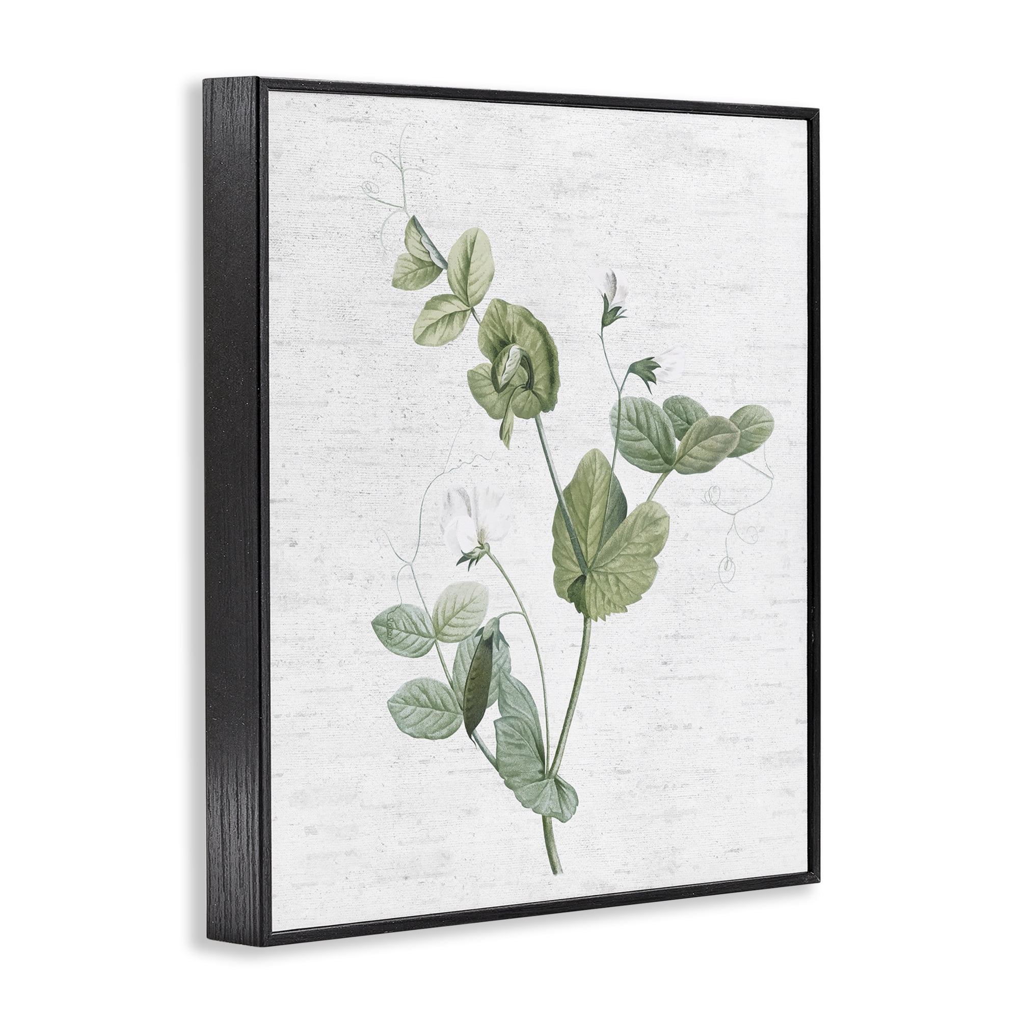 Stupell Industries Soft Country Botanical Botanical & Floral Painting Black Framed Art Print Wall Art, 16 x 20