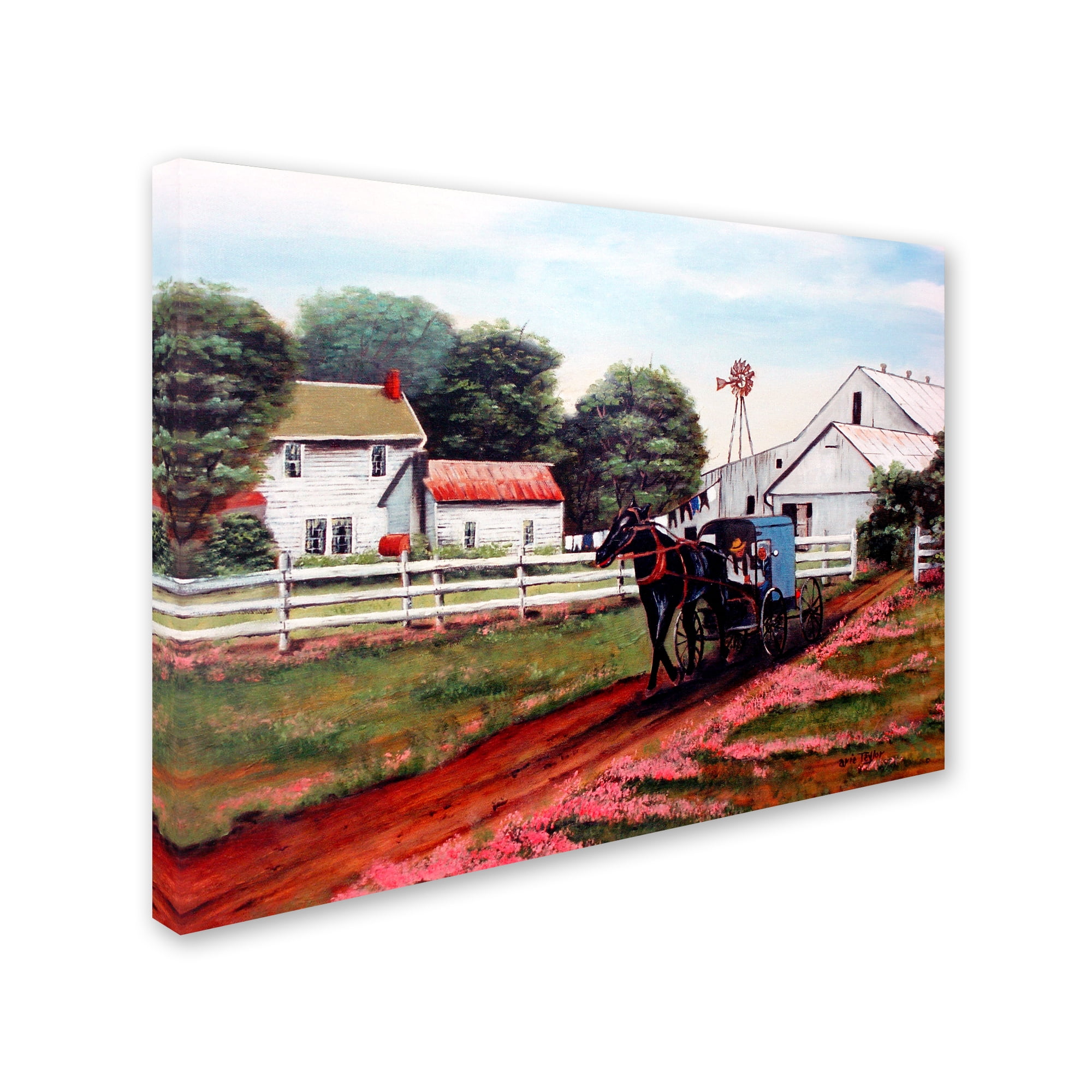 Trademark Fine Art 'Amish Country 2' Canvas Art by Arie Reinhardt Taylor