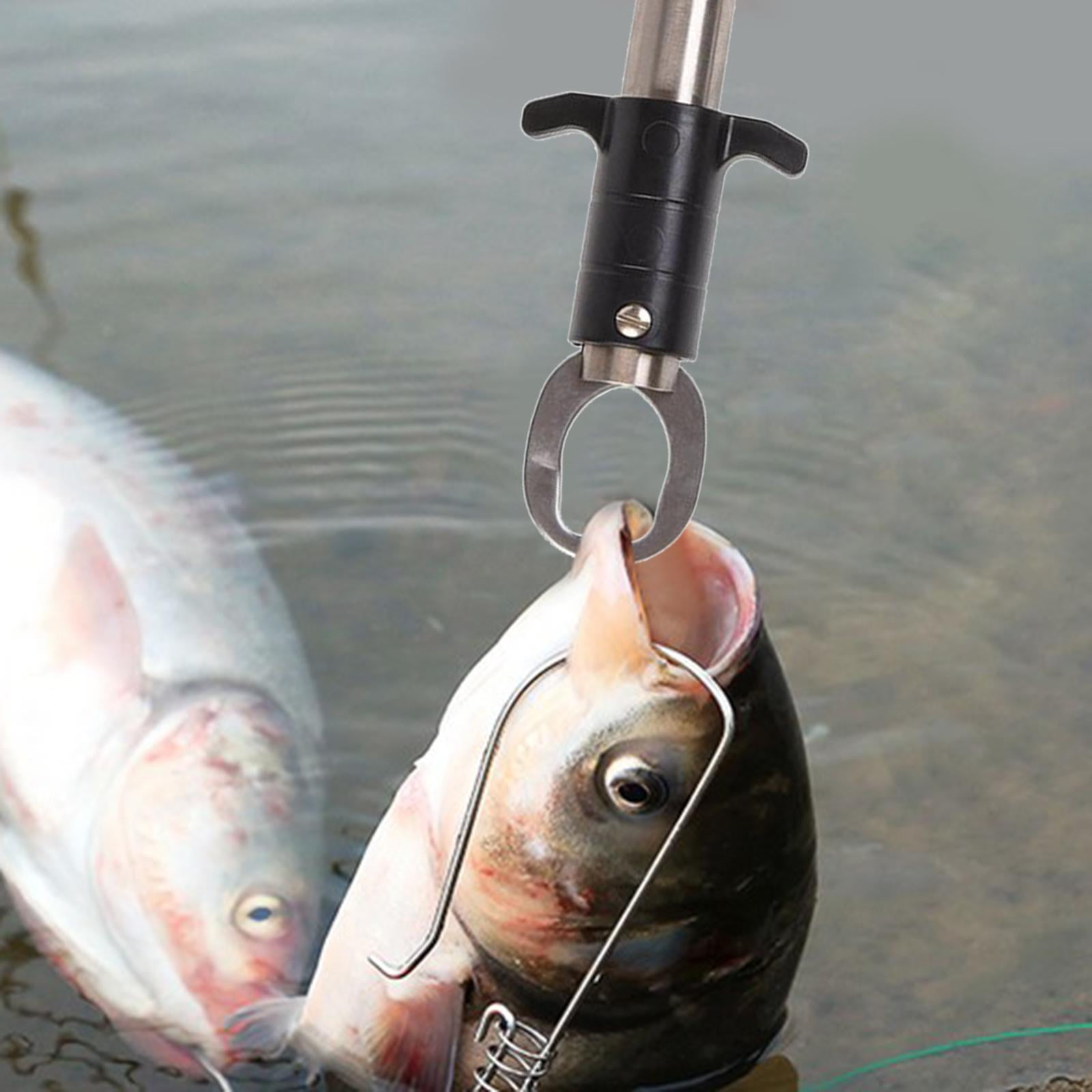Digital Fish Lip Gripper 25Kg/55Lb Portable Electronic Control Fish Lip  Tackle Grabber Tool Fishing Grip Holder Stainless Weight Digital Scale
