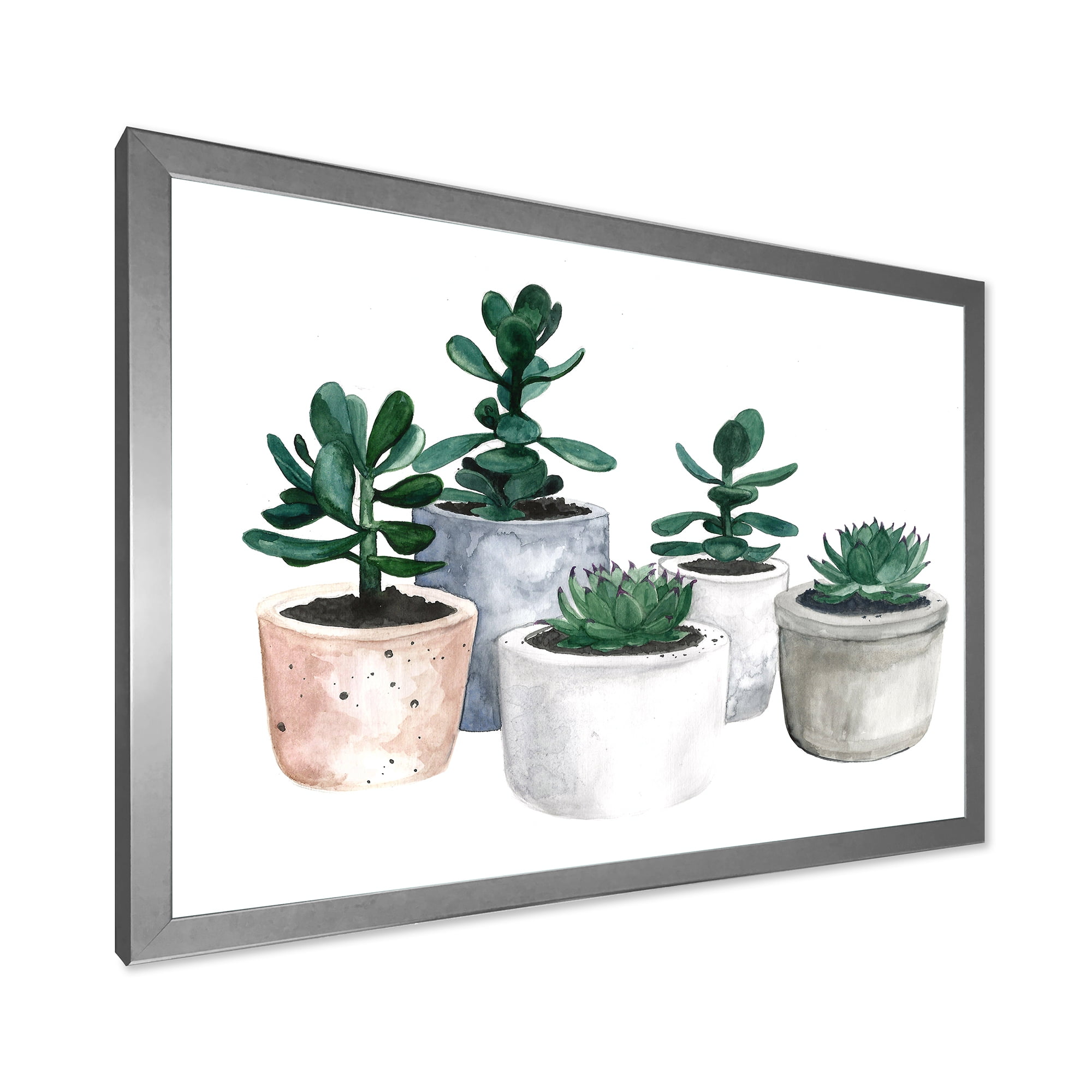 Designart 'Succulent and Cactus House Plants VI' Farmhouse Framed Art Print