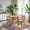 Colorful, variant on YOUFORTONG 6ft Round Washable Abstract Area Rug, Modern Low Pile Carpet, Soft Non-Slip Stain Resistant Indoor Mat for Living Room Bedroom Dining Room,Colorful