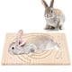 thumbnail image 5 of Tablero rascador con garras de madera para mascotas, erizo, ardilla, conejo, accesorio de jaula de juguete, 5 of 5