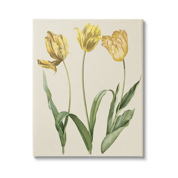 Stupell Industries Three Tulip Sprigs Botanical & Floral Painting Gallery Wrapped Canvas Art Print Wall Art, 16 x 20
