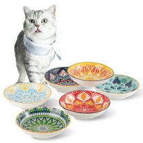 Ceramic Cat Bowls - Porcelain Cat Food Dish - Shallow Flat Cat Dish - Set of 6