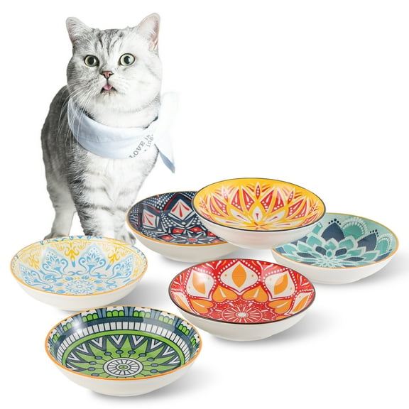 Ceramic Cat Bowls - Porcelain Cat Food Dish - Shallow Flat Cat Dish - Set of 6