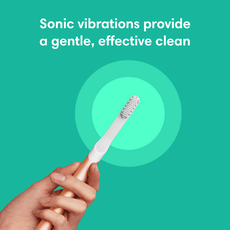 (3 pack) Quip Adult Electric Toothbrush Replacement Brush Head, Full Head, Soft Bristles, Gum Care, 1 Count