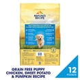 thumbnail image 3 of Nature's Recipe Grain Free Puppy Dry Dog Food Chicken, Sweet Potato & Pumpkin, 12 lb Bag, 3 of 11