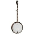 thumbnail image 2 of Recording King Songster Professional Resonator 5 String Banjo RK-R20, 2 of 3