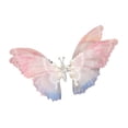 thumbnail image 3 of Pinza de pelo de mariposa Pinza de garra para el pelo, Regalos ñas y mujeres, Gorros ños Clip de accesorios para el cabello lindo, Acces rosado azul Fernando Pinza para el cabello, 3 of 8