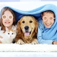 thumbnail image 3 of stanreset 6 Pcs Enfants Tournesols Lunettes de Soleil Portables Colorées Remplacement Monture Ronde Lunettes de Marche Lunettes de Vue Monture Tel Qu'illustré 1ensemble, 3 of 6
