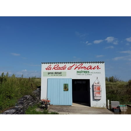 - Canvas Print Oyster Farm Fish Mussels France Oysters Stretched Canvas 10 x 14