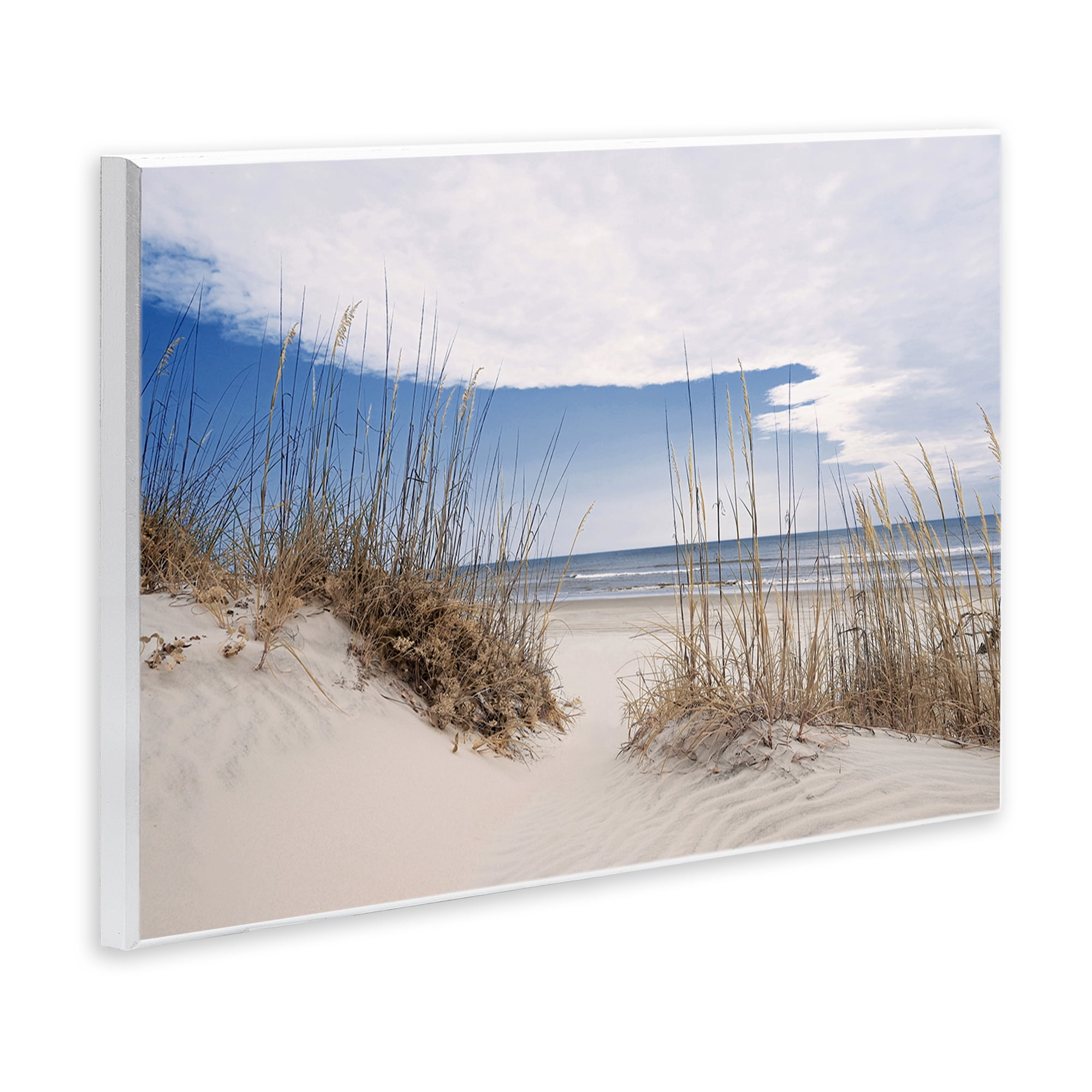 Stupell Industries Sea Oats Along Sandy Dunes Wall Plaque Art, design by Natalie Carpentieri