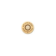 Wby Ammo 300wby 165gr Spire 20/200