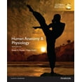 thumbnail image 1 of Pre-Owned Human Anatomy & Physiology, Global Edition (Paperback) 1292096977 9781292096971, 1 of 1