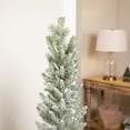 thumbnail image 3 of Northlight Slim Flocked Norfolk Pine Artificial Christmas Tree - 4.5’ - Unlit, 3 of 9