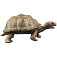 thumbnail image 2 of Plastic Turtle Model for Decor with Brown PVC Tortoise Educational Toy, 2 of 5