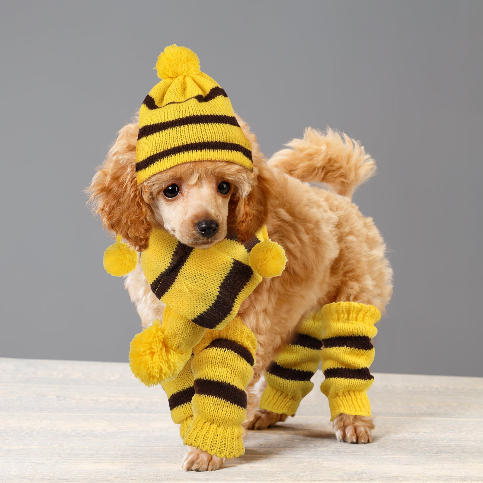 LABSERRON Winter Accessories Dog Beanie Hats Knit Hat for Dog 1Set