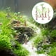 thumbnail image 4 of 40 piezas de plantas de acuario de plástico, cocotero artificial, adorno para pecera., 4 of 6