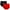 Red, variant on Utoimkio Clearance 2 Pack Women's Underwear Cotton High Waisted Briefs Full Coverage Soft Breathable Ladies Panties