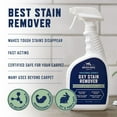 thumbnail image 2 of Rocco & Roxie Oxy Stain Remover Spray, Pro Strength Spot Carpet Cleaner, 32 oz, 2 of 6