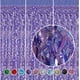 thumbnail image 2 of Cortina con flecos CYLMFC, lámina morada, 1 m x 2 m, para decoración de fiestas, 2 of 6