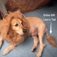 thumbnail image 1 of CBFFDC Adjustable Lion Mane for Dogs Dog Lion Mane with Ears Adjustable Pet Costume for Medium to Large Dogs 19 28 Inches Neck Size Brown Lion Mane with Tail, 1 of 6