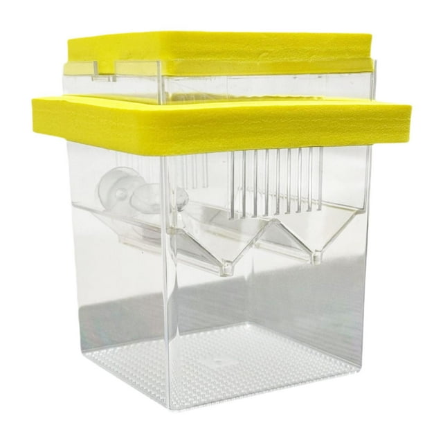 Incubadora flotante Caja reproductora de peces pequeños peces de pescado aislamiento de huevo de pescado Caja de criadero para camarones betta guppy Amarillo