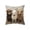 Multicolor#02, variant on Linnome Cute Pet Patterns Cushion Cover Soft Throw Pillow Cover for Sofa Chair Spring Easter Bedroom Decoration 17.72x17.72in Multicolor#03