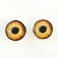 thumbnail image 4 of Light Brown Wolf Sew-On Button Glass Eyes, 4 of 8