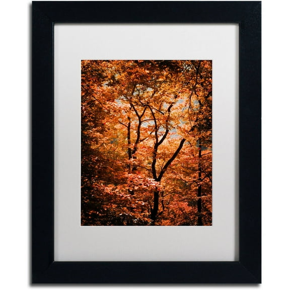Trademark Fine Art "Autumn Whispers" Canvas Art by Philippe Sainte-Laudy White Matte, Black Frame