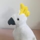 thumbnail image 3 of TAMMYFLYFLY - Peluche de cacata, regalos para nios, Cuddlekins de 11 pulgadas, 3 of 3